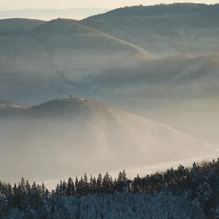 Bed and Breakfast 1956 - 4*